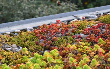 the cost of Cocks Green green roof installation