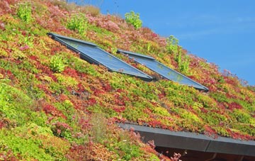 Cocks Green living roof systems