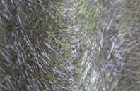 Cocks Green fibreglass roof work